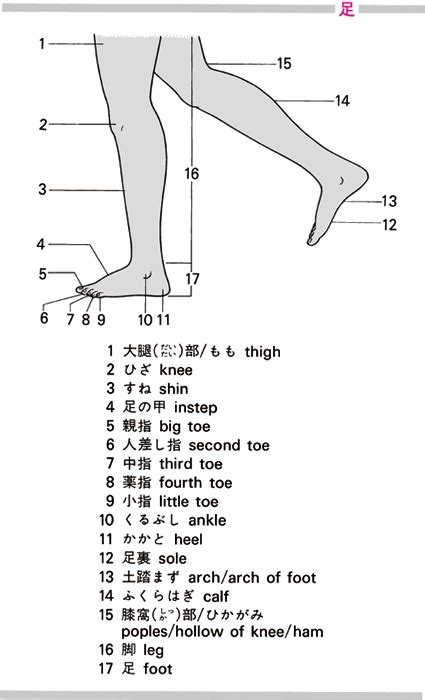 色気 英語|色気を英語で訳す